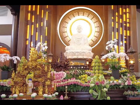 Bài Ca Ngày Phật Đản. 2025. PL.2659