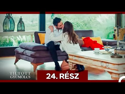 Tiltott Gyümölcs 24. Rész (Magyar Szinkron)