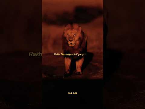 Shubh - King Shit🔥✨🦁|| Slowed Reverb || WhatsApp Status #shorts @SHUBHWORLDWIDE