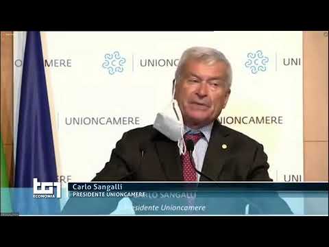 28/04/2021 - RAI 1 TG1 ECONOMIA - Assemblea Unioncamere, in apertura il messaggio di Mattarella