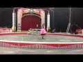 Dog Act Practice