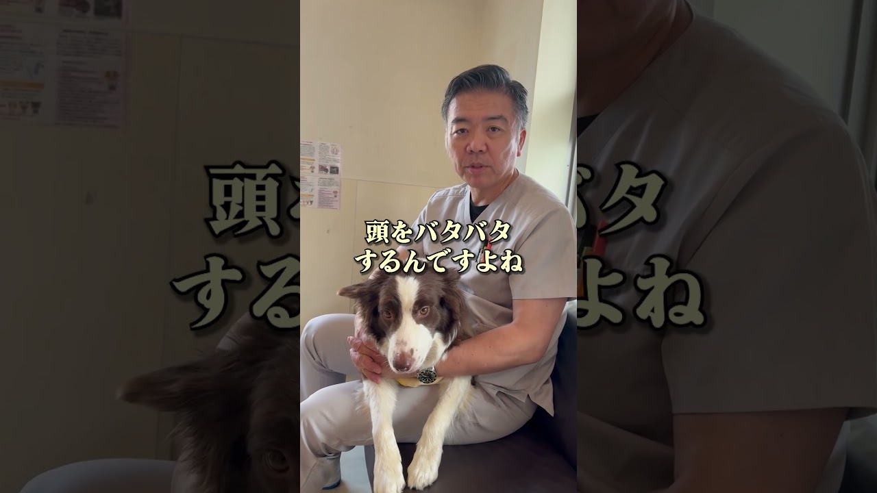 自然に治ると思いがちな症状は？ #shorts