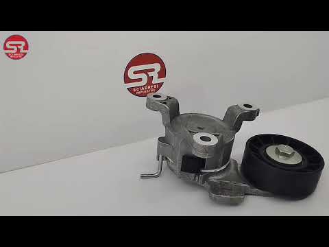 Tensor Poly V Para C4 Lounge-407-307-408 2.0 16V EW10 (SKF VKM 33130)