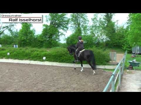 www.dressurtrainer-isselhorst.de - Dressurtraining Klasse M / S