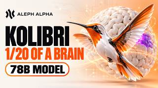 Aleph Alpha's Kolibri Uses 1/20th of Its Brain. Is It Any Good?