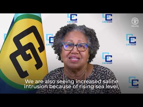The Caribbean Community Regional Initiative’s full interview for Hand-in-Hand Investment Forum 2024