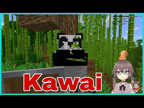 Shocking: Natsuiro Matsuri Meets Panda in Minecraft?!