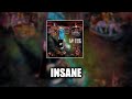 Korn Insane LYRICS VIDEO