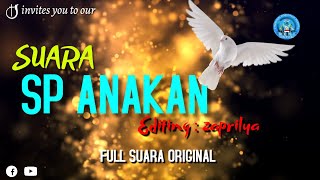 Download lagu Suara panggil burung walet original tanpa noise bersih dan jernih ( mp3 ) mp3