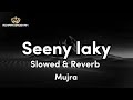 SEENY LAKY SLOWED REVERB MUJRA MASTI