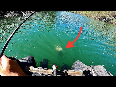 Incredible strike and fight of a huge catfish under my feet!