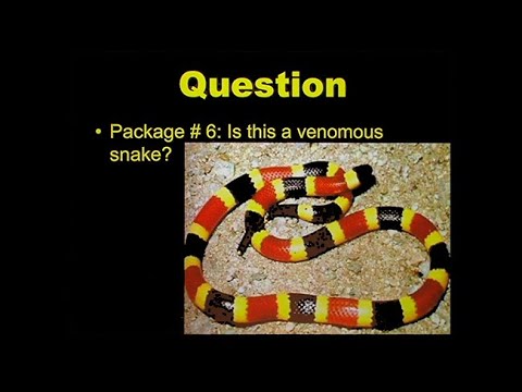 Bites and Stings: The Venomous Truth - YouTube