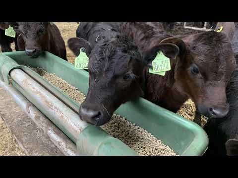 FARMA LUTILA  - život našich detí na gazdovstve