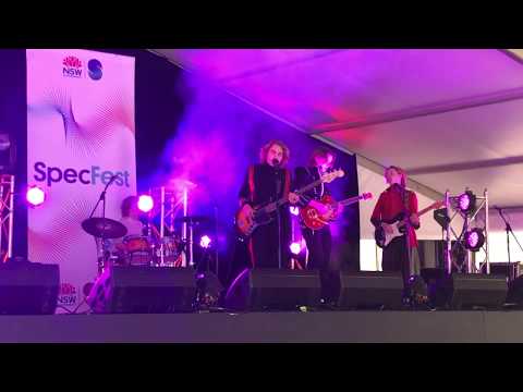 Sadie - The Rions (LIVE)