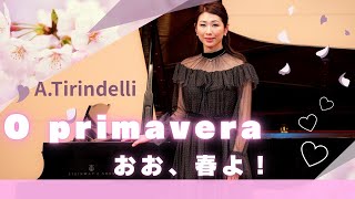 O primavera おお春よ