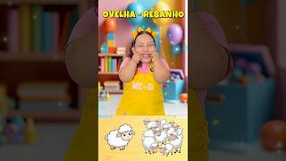 Coletivo de animais 🐂🐜🐺 Aprendendo com Maria Clara MC Divertida