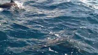 Doug Keith - The Lowest Low