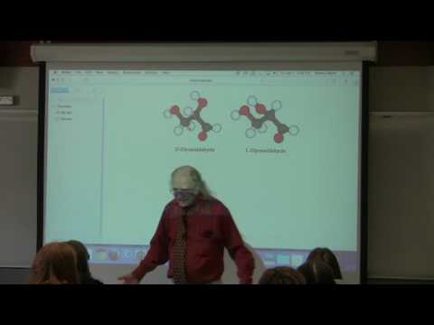 4. Ahern's BB 350 at Oregon State University - Amino Acids
