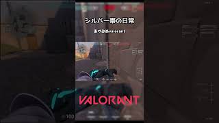 シルバー帯の日常#5 #Shorts