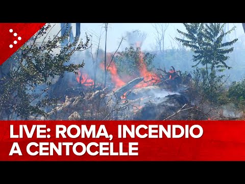 LIVE Roma, incendio in zona Centocelle, in corso l'intervento dei vigili del fuoco: diretta video