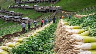 Colheitas Inacreditáveis 💥 É Assim Que Eles Coletam Milhares De Toneladas De Alimentos Por Dia