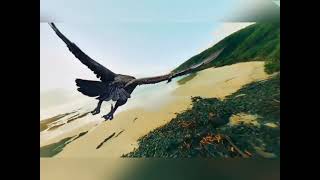 Showreel 2026 | SANTHOSH KUMARAVELU | 3D • VFX • Animation • Editing