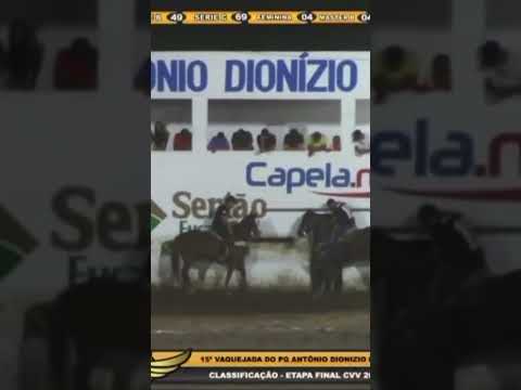 Vaquejada de capela do alto alegre