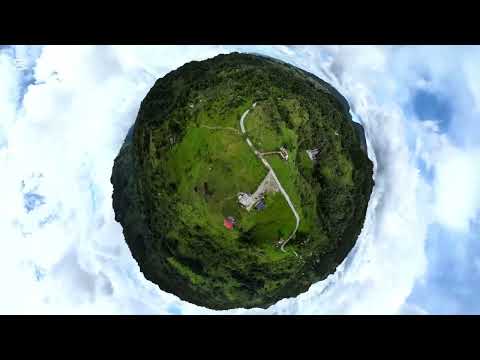 Bosques de Pandora Agosto 2024