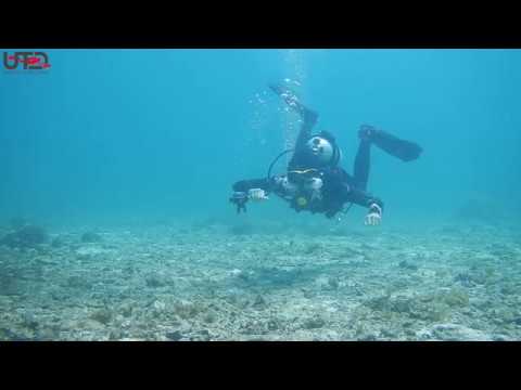 IS FIN PIVOT AND HOVERING GOING TO HELP YOU? | VLOG 7