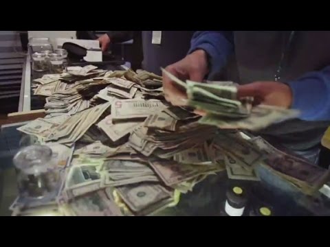 How Much Money Can You Make Growing Marijuana in Colorado?