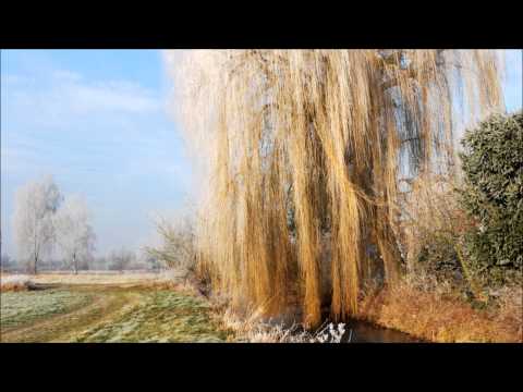 Mitrinique - High On Chocolate (Mauro Norti Remix)