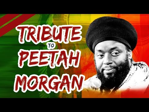 PEETAH MORGAN TRIBUTE VIDEO MIX REGGAE RIDDIMS BY DJ CARLOS BEST OF MORGAN HERITAGE 2024