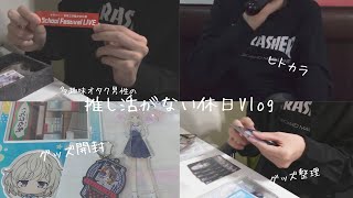 Vlog| 推し活がない休日。多趣味男性Vlog🌊|カラオケ|横須賀で買ったグッズ開封|グッズ整理