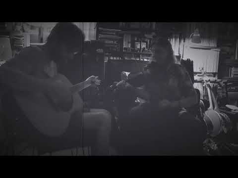 C&S Folk Company – Cattle in the Cane