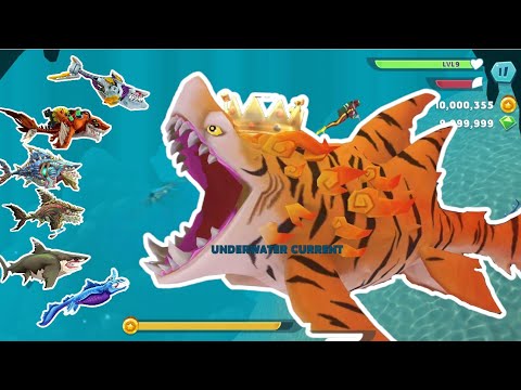 GIANT TIGER SHARK M0D MAX LEVEL GOD | Unlocks All 37 Sharks