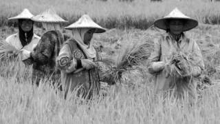 Download lagu DARAH JUANG ( Lagu Wajib Mahasiswa ) mp3