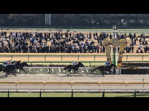 【現地】ペリエール 福永祐一 2023 ヒヤシンスS