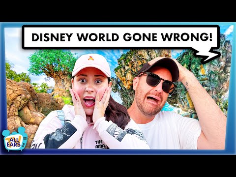 The Real Housewives of Animal Kingdom - Everything in Disney World in 100 Days