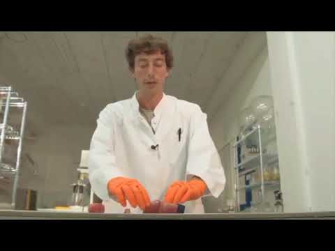 Biorobot  🤖  that runs on electricity ⚡