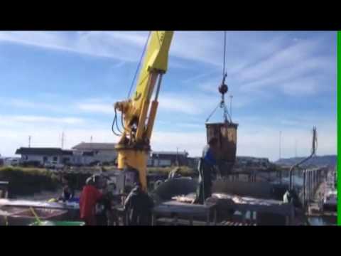 Offloading FV Stranger