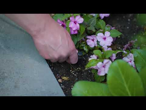 Orbit   8 Port Drip 67000