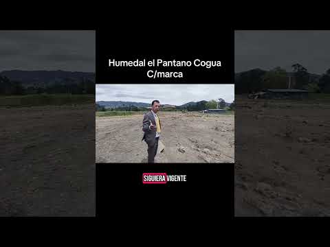 Humedal de Cogua