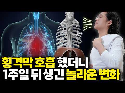 횡격막 호흡의 놀라운 효과 | 복식 호흡 제대로 하는 방법