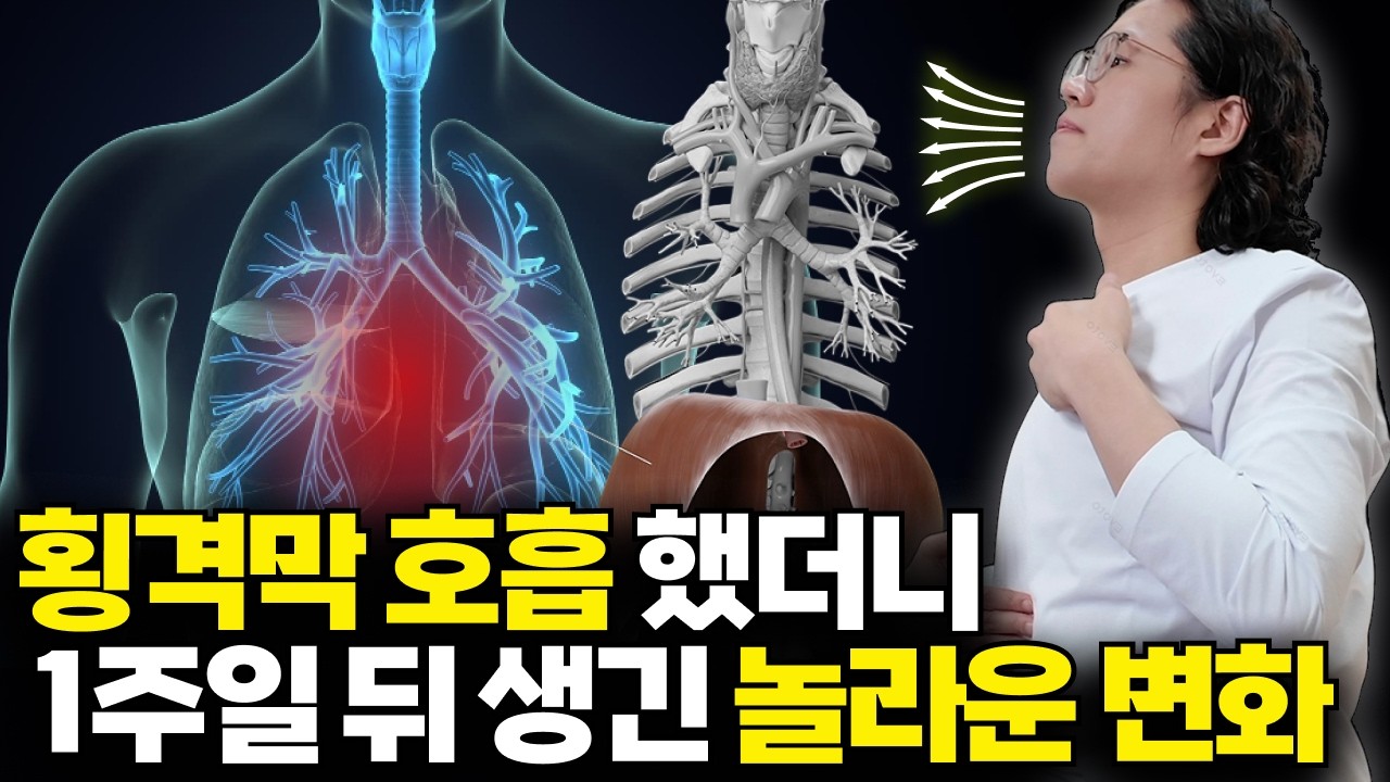 횡격막 호흡의 놀라운 효과 | 복식 호흡 제대로 하는 방법