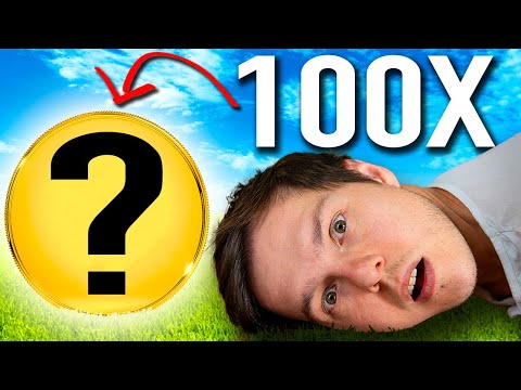 I FOUND THE NEXT SHIBA INU