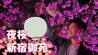 [遊記] NAKED 夜櫻 新宿御苑 2023