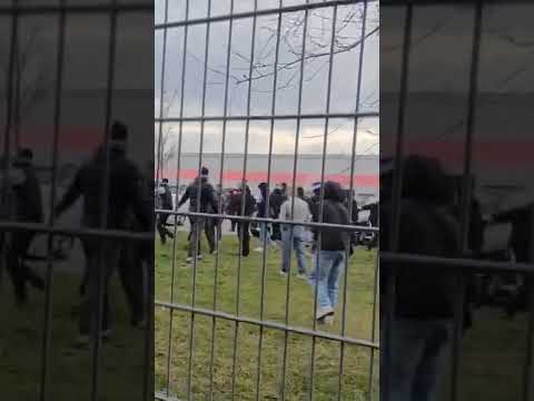 Nimm die Beine in die Hand 😂 #shorts #wegrennen #hooligan