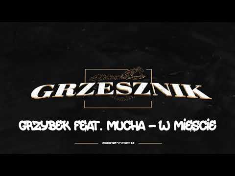 Grzybek LD Feat. Mucha - W Mieście (Prod.Ans)