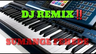 Download lagu DJ REMIX || SUMANGE FEHEDE || lagu Nias mp3