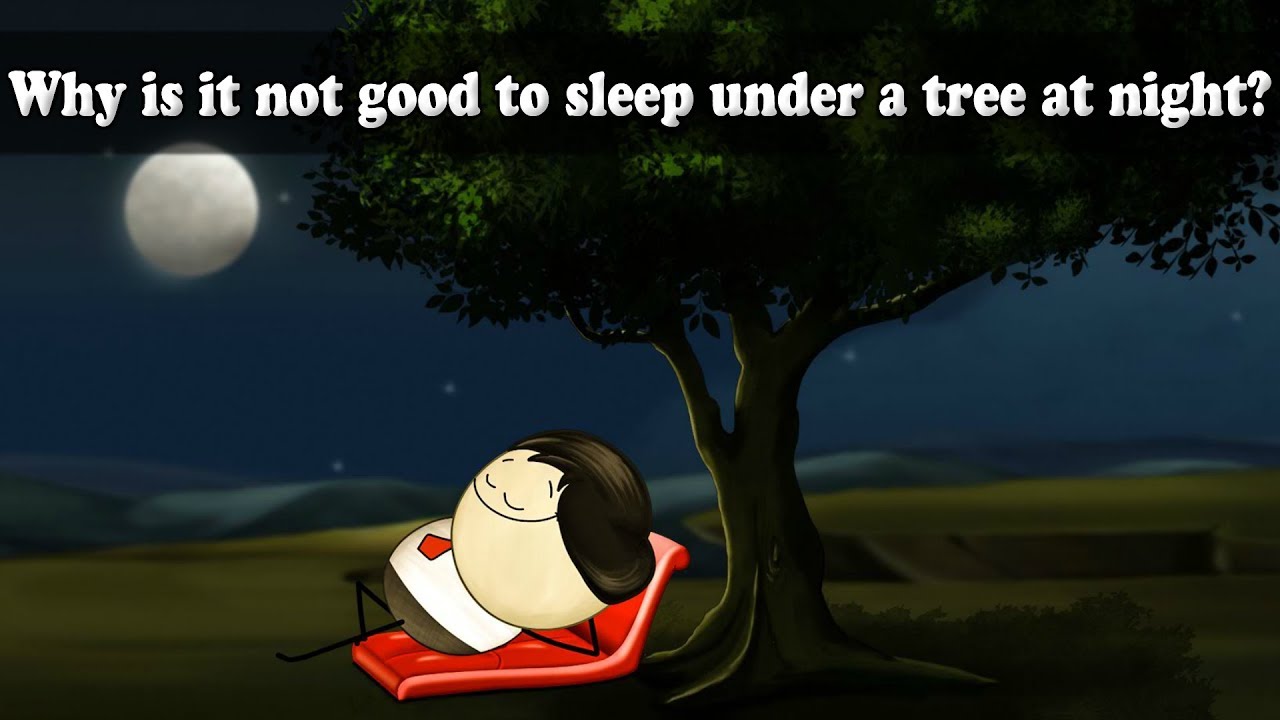 Respiration - Why is it not good to sleep under a tree at night | #aumsum #kids #science